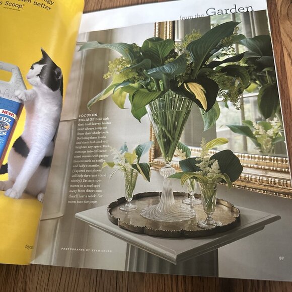 Martha Stewart Living Magazine Summer Delights June 2006 - Picture 5 of 8